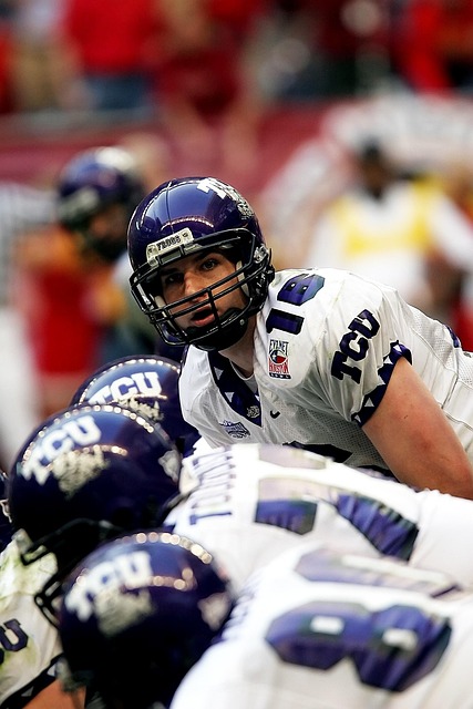 成功引进的 成功引进的